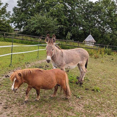 Gite Chez Loupi Epaignes ภายนอก รูปภาพ
