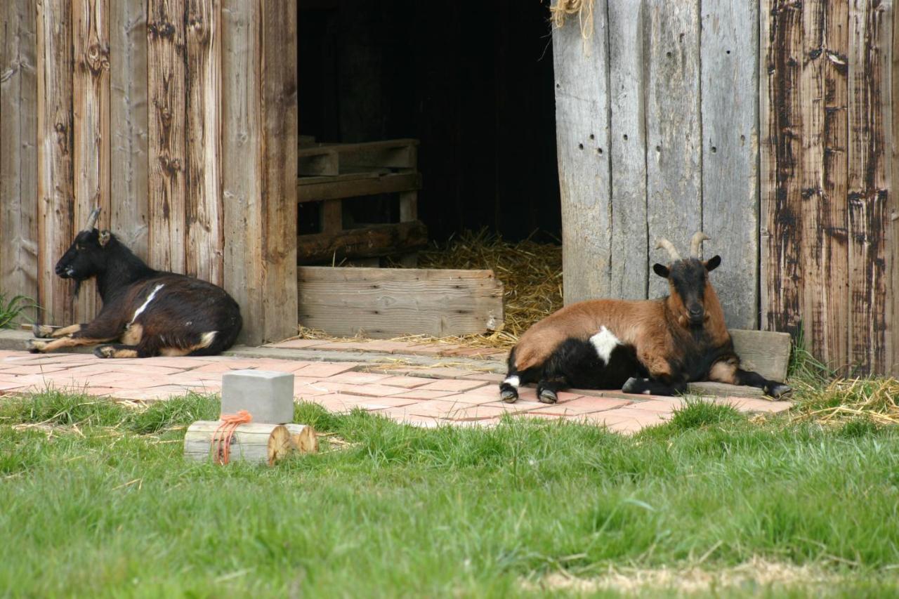Gite Chez Loupi Epaignes ภายนอก รูปภาพ